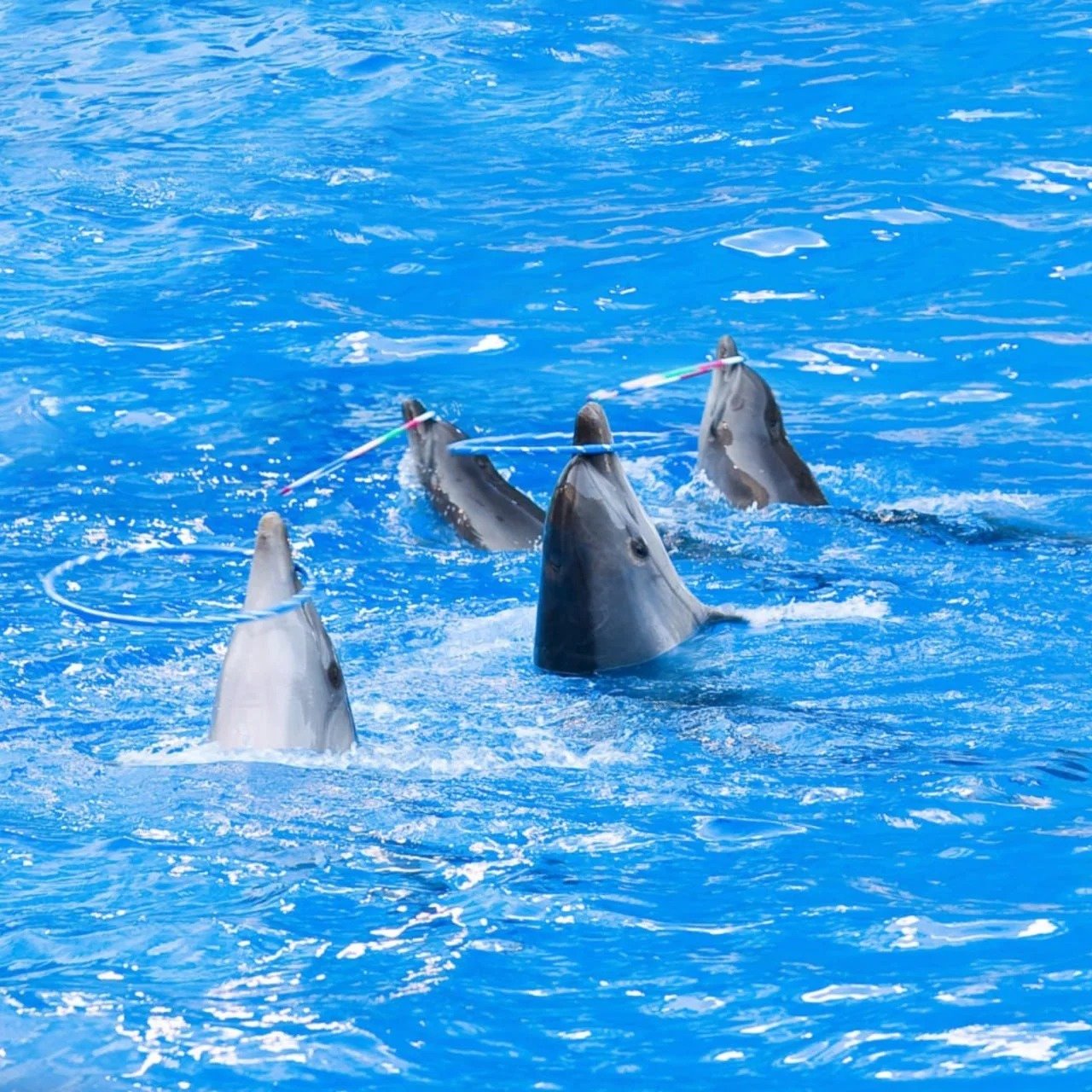 imgi_15_IMG_20250909_184916_457